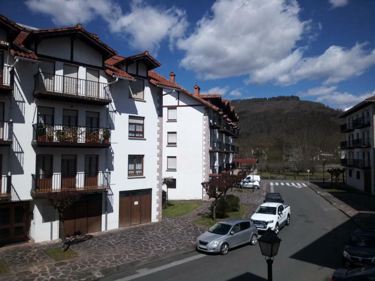 Pedroenea * Elizondo